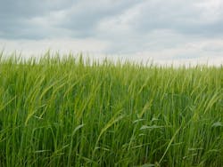 1655327970209 6 1655327970209 6