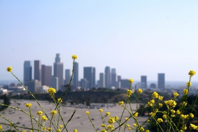 6.30 l-a-city-skyline-flowers-1409836-639x426