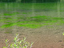 1655327974830 6 1655327974830 6