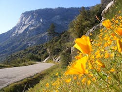 1655327974843 7 1655327974843 7