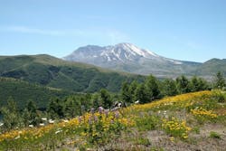 1655327982678 7 1655327982678 7