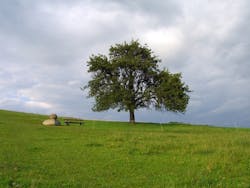 1655327983806 7 1655327983806 7