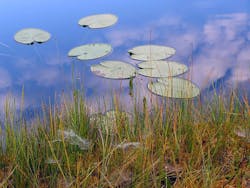 1655327987469 7 1655327987469 7