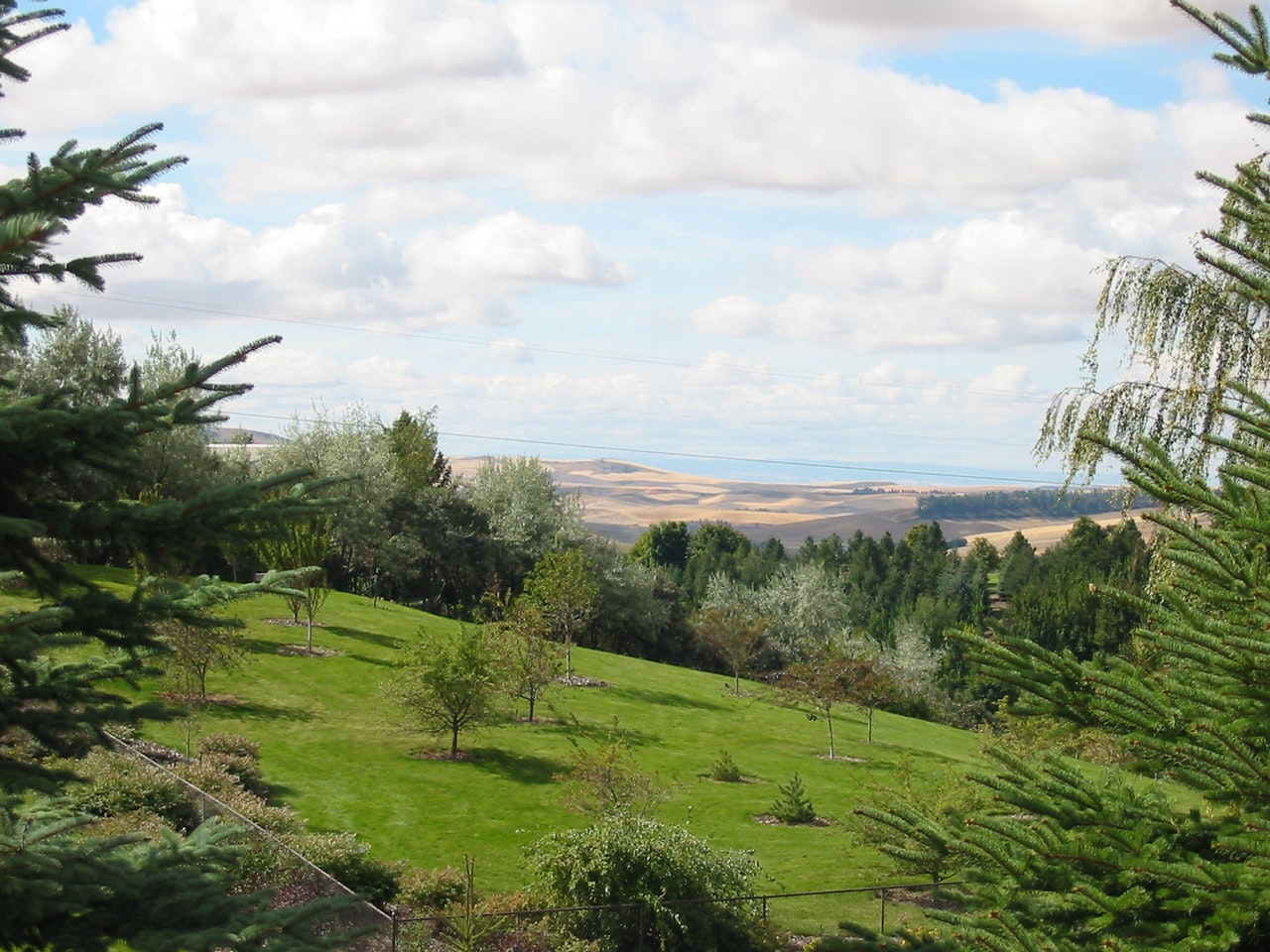 8.16 the-palouse-1463690-1280x960