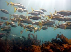 1655327999590 8 1655327999590 8