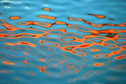 1655328001072 8 1655328001072 8