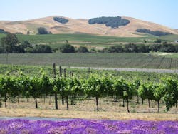 1655328003767 8 1655328003767 8