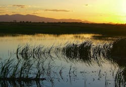 8.30 wetlands-at-sunset-1409535-1279x885