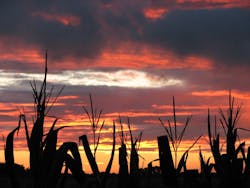 1655328004313 8 1655328004313 8