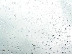 1655328009598 9 1655328009598 9