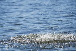 1655328011109 9 1655328011109 9