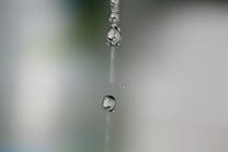 9.13 some-water-drips-1160028-1279x852