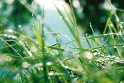 1655328015215 9 1655328015215 9