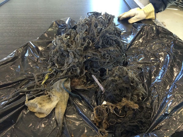 JWC_Wonderland-Pump-Station_02