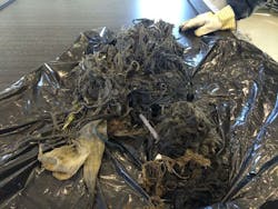 1655328023350 Jwc Wonderlandpumpstation 02 1655328023350 Jwc Wonderlandpumpstation 02