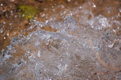 1655328025328 9 1655328025328 9