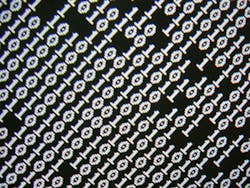 1655328030125 10 1655328030125 10