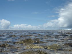 1655328037632 10 1655328037632 10