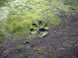 1655328040189 11 1655328040189 11