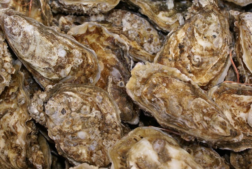 10.28 oysters-1321316-1278x855