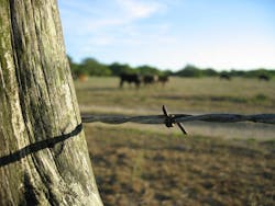 1655328044976 11 1655328044976 11