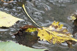 1655328046519 National Ground Water Assn Web 1655328046519 National Ground Water Assn Web