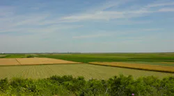 11.23 plains-and-fields-of-vojvodina-1547400