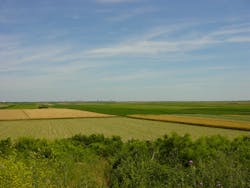 11.23 plains-and-fields-of-vojvodina-1547400