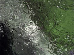 1655328050974 11 1655328050974 11