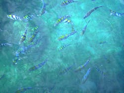 1655328051525 11 1655328051525 11