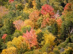 1655328055258 12 1655328055258 12