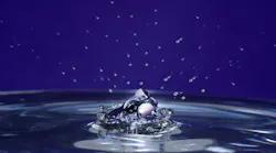 12.7 blue-corona-1211435-1279x852