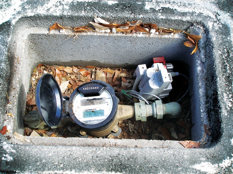 1655328057984 P1016808 1 Edit