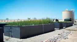 Pilot Wetlands (1)