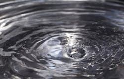 1655328060902 12 1655328060902 12