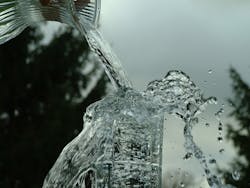 1655328066503 12 1655328066503 12