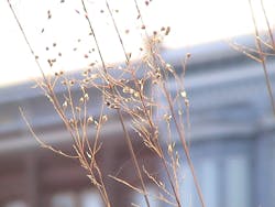 1655328070648 1 1655328070648 1