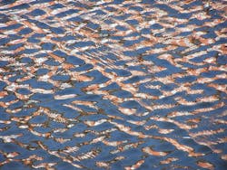 1655328070849 1 1655328070849 1