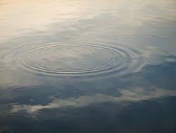 1655328072223 1 1655328072223 1