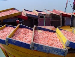 1.25shrimp-fisherman-s-boat-at-bah-1494714-1280x960