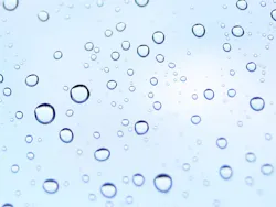 1655328084650 2 1655328084650 2