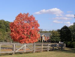 1655328086358 2 1655328086358 2