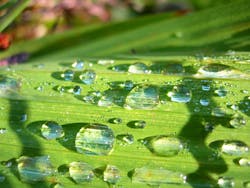 1655328087819 2 1655328087819 2