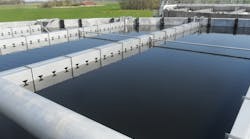 2.2Nereda_Close up 2.2Nereda_Close up