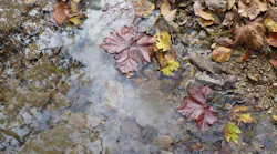 2.28 fall-stream-1360561-1280x960