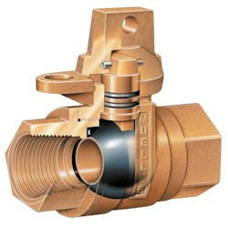 1655328098125 Mueller Tr 300 1655328098125 Mueller Tr 300