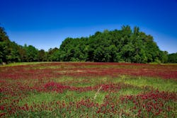 1655328103615 3 1655328103615 3