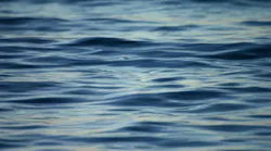 water_2