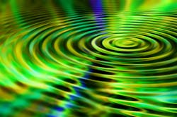 1655328121593 5 1655328121593 5