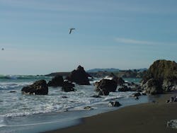 1655328125102 5 1655328125102 5